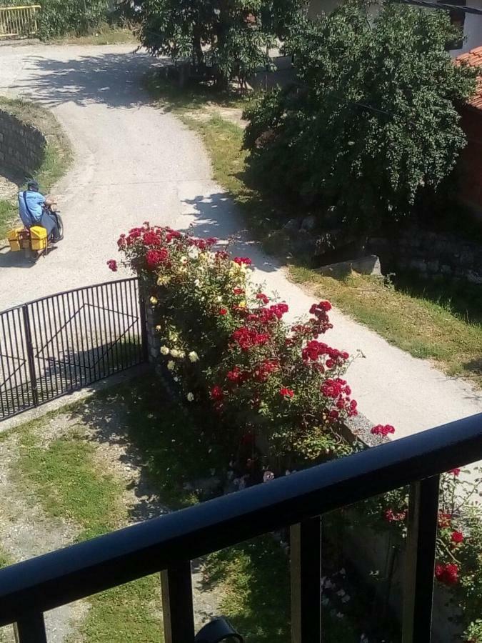 Sobe Seka Hotel Golubac Buitenkant foto