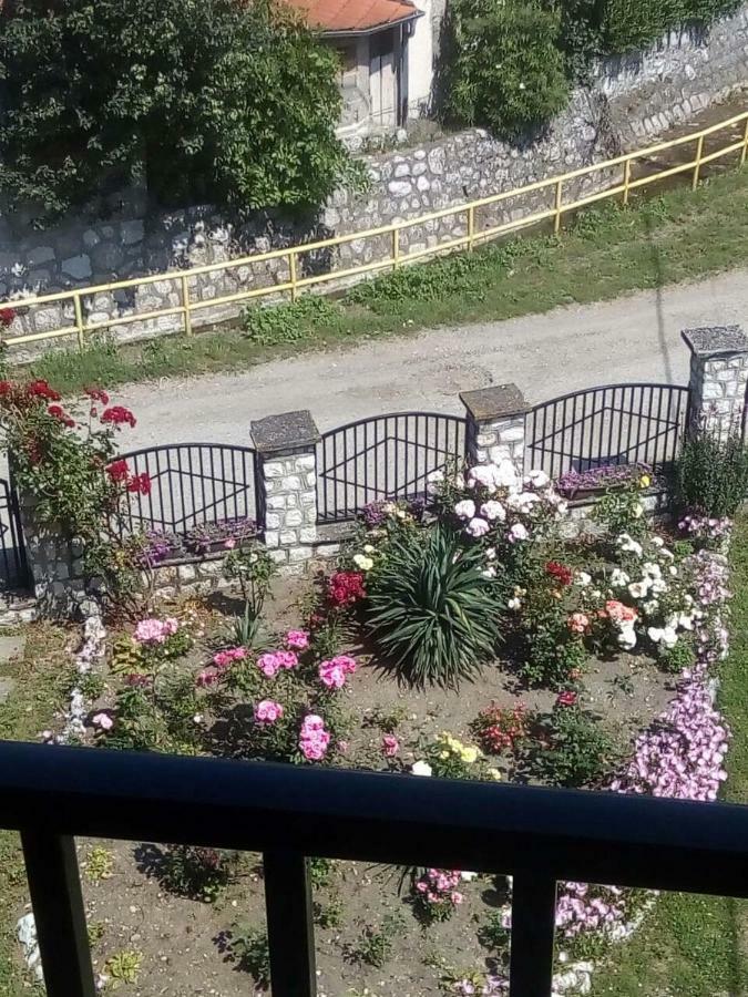Sobe Seka Hotel Golubac Buitenkant foto